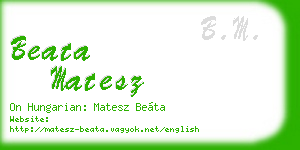 beata matesz business card